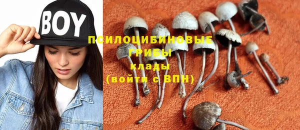 гашик Белоозёрский