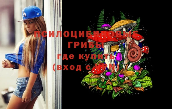 не бодяженный Белокуриха