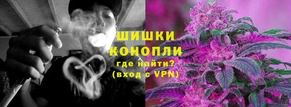 гашик Белоозёрский