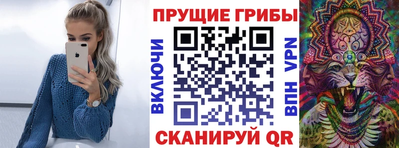 маркетплейс клад Кимры Псилоцибиновые грибы ЛСД